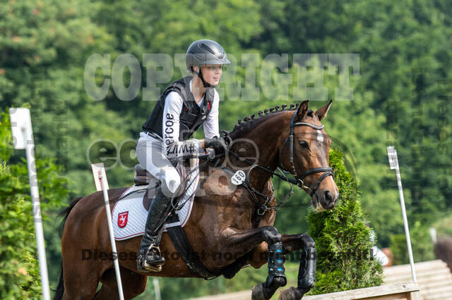 Goldene Schärpe 2021 - Ponys