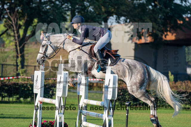 De Peelbergen (August 2020)