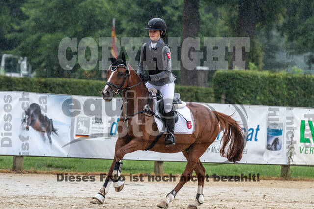 Goldene Schärpe 2021 - Ponys