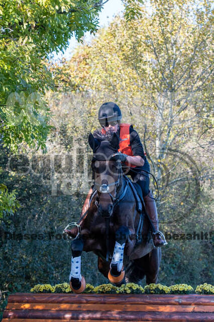 Vielseitigkeitslehrgang mit Jürg Kurbel (9.+10.11.2019)