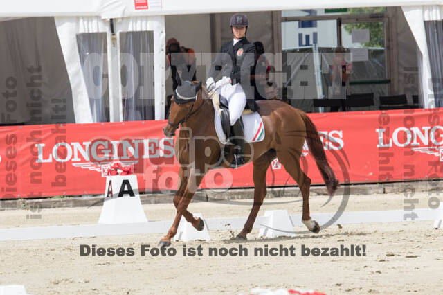 FEI European Championship Eventing 2017