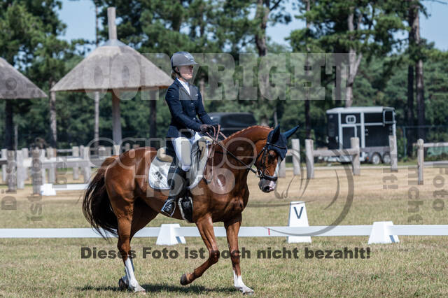 Kronenberg - De Peelbergen (August 2020)