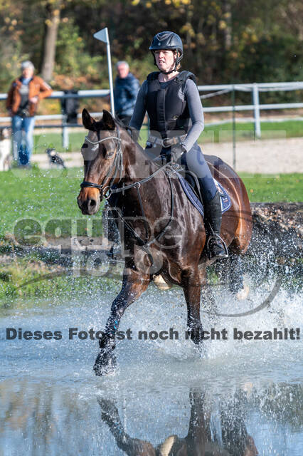 IGV Lehrgang der Sieger der Cups mit Frank Ostholt