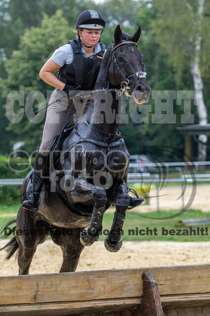 Hunter Geländetraining 10.07.2021 (Sonsbeck)