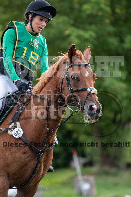 Landesturnier Rheinland, Vielseitigkeit, 22.+23.08.2020