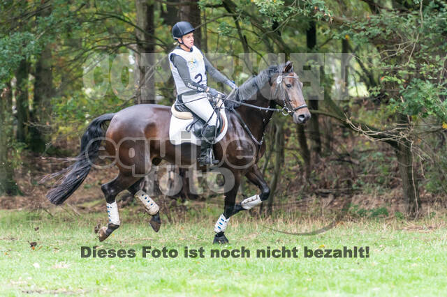 Vielseitigkeit RSV Wesel Obrighoven (26.+27.09.2020)