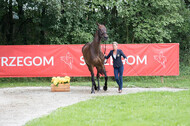 FEI European Championship Eventing 2017