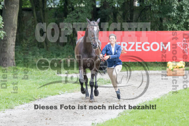 FEI European Championship