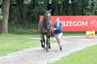 FEI European Championship