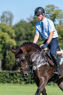 Kronenberg - De Peelbergen (August 2020)