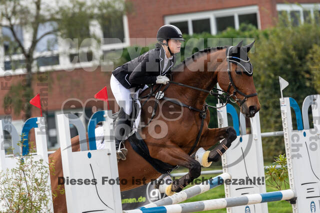 Goldene Schärpe 2020 - Pferde