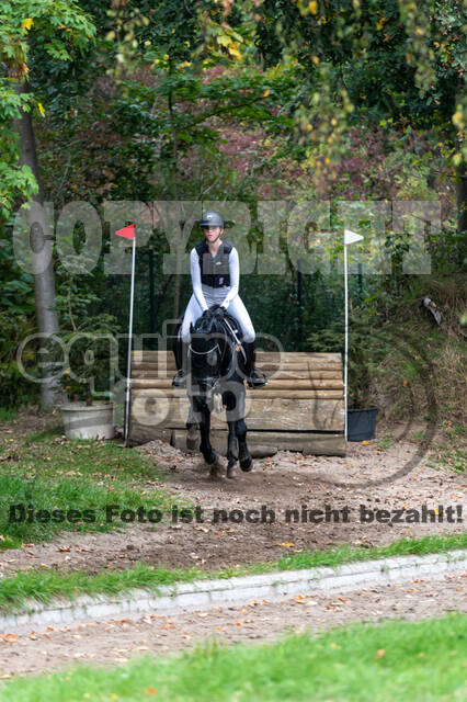 Goldene Schärpe 2020 - Pferde