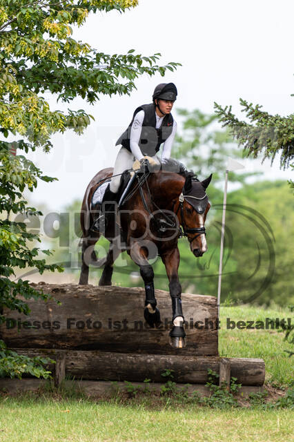 Late-Entry-Vielseitigkeit Langenfeld (11.+13./14.06.2020)