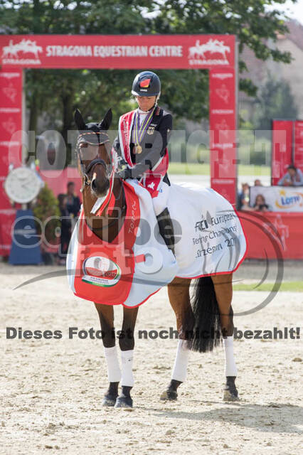 FEI European Championship Eventing 2017