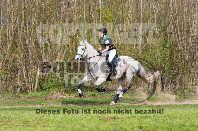 Vielseitigkeitsturnier RV Lippe-Bruch-Gahlen