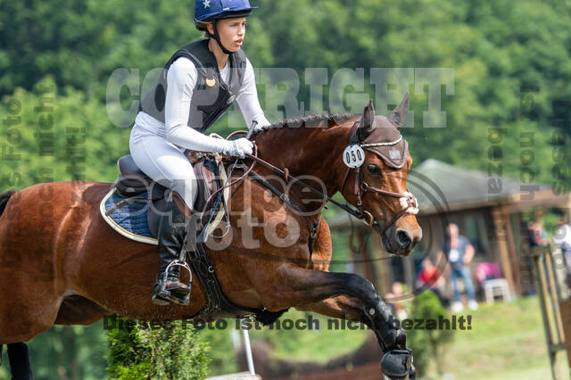 Goldene Schärpe 2021 - Ponys