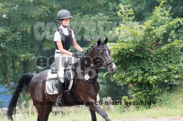 RFV Bad Honnef