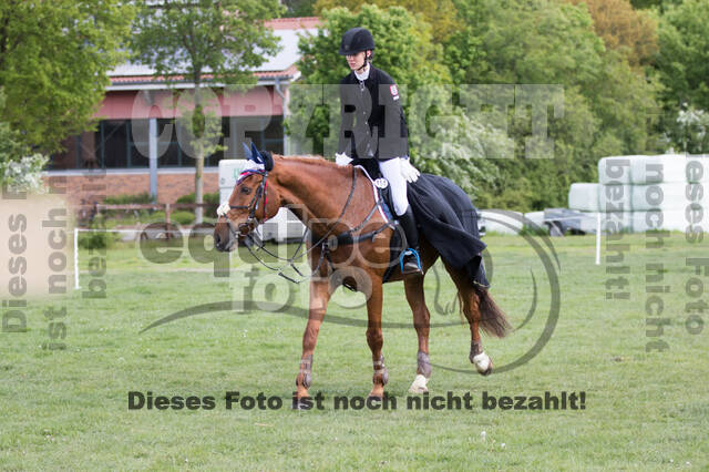 Sterne über Münster 2019 - CCI***S