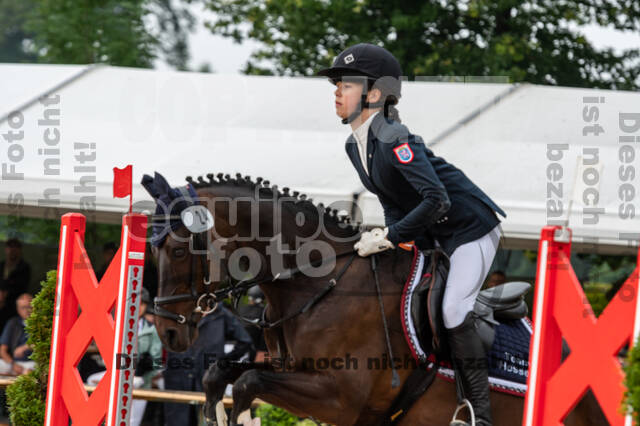 Goldene Schärpe 2021 - Ponys