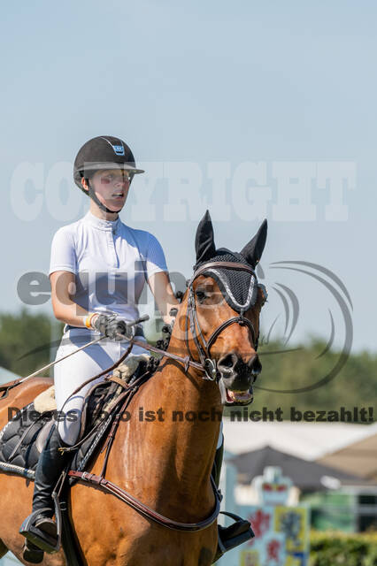 Kronenberg - De Peelbergen (August 2020)