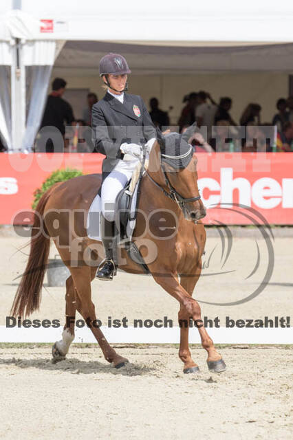 FEI European Championship Eventing 2017