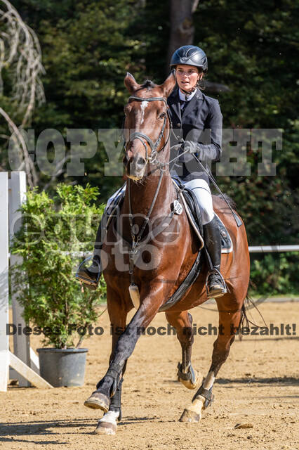 RFV Dinslaken-Hiesfeld (Herbstturnier)