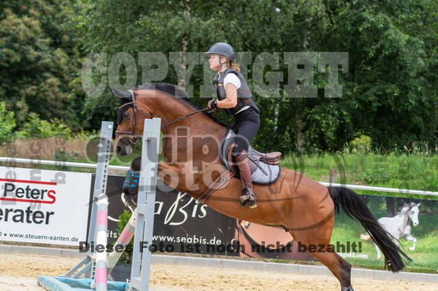 Hunter Geländetraining 10.07.2021 (Sonsbeck)