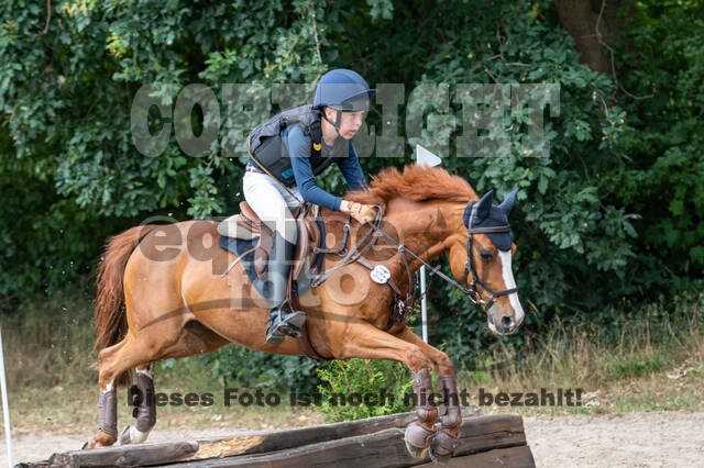 Late-Entry-Vielseitigkeit Langenfeld (11.+13./14.06.2020)