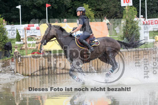 FEI European Championship
