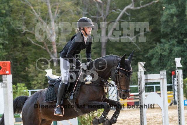 RFV Dinslaken-Hiesfeld (Herbstturnier)