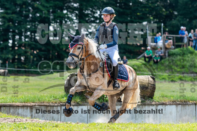 Goldene Schärpe 2021 - Ponys