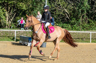RFV Dinslaken-Hiesfeld (Herbstturnier)