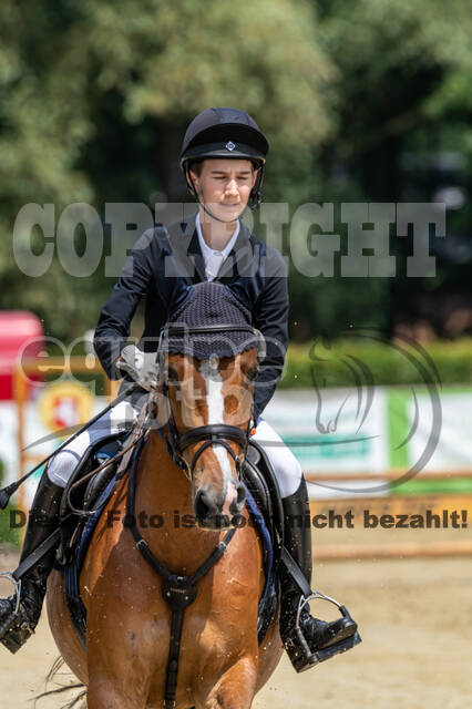Goldene Schärpe 2021 - Ponys