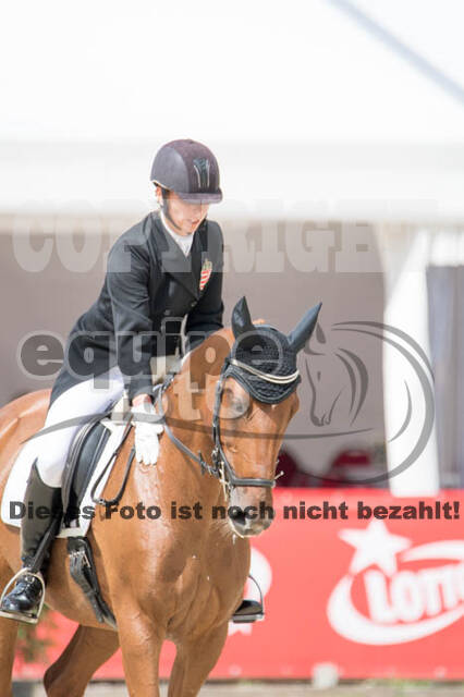 FEI European Championship Eventing 2017
