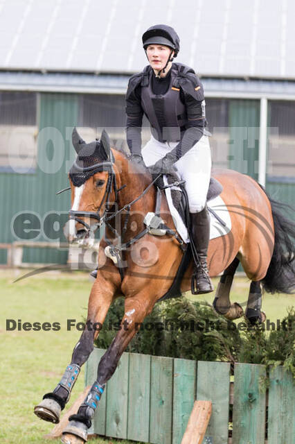 Jungpferdetag Hamminkeln