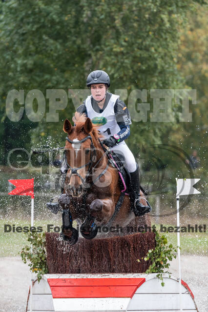 Deutsche Meisterschaft Vielseitigkeit (Luhmühlen)