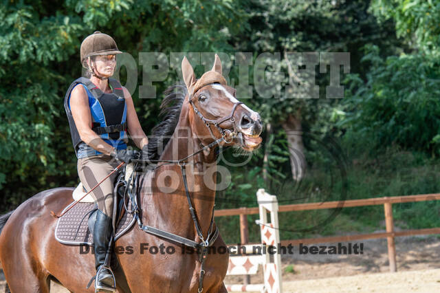 Hunter Geländetraining (16.08.2020)