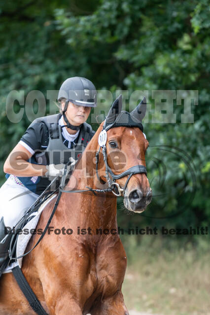 Late-Entry-Vielseitigkeit Langenfeld (11.+13./14.06.2020)