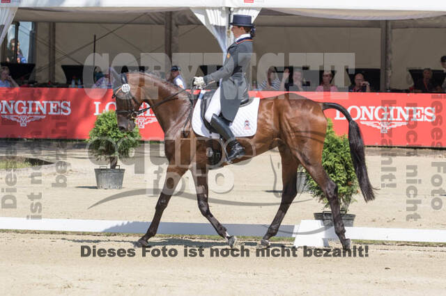 FEI European Championship Eventing 2017