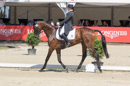 FEI European Championship Eventing 2017