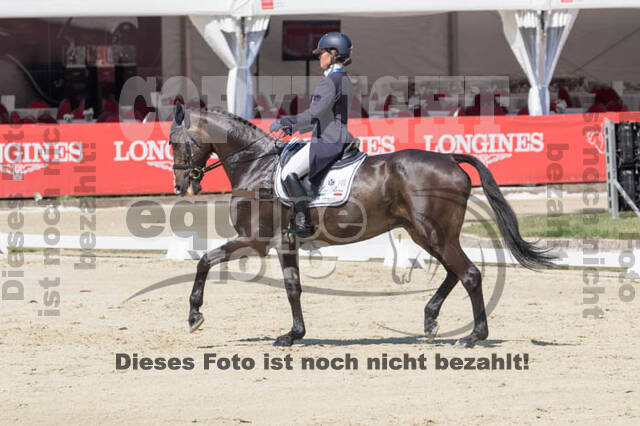 FEI European Championship