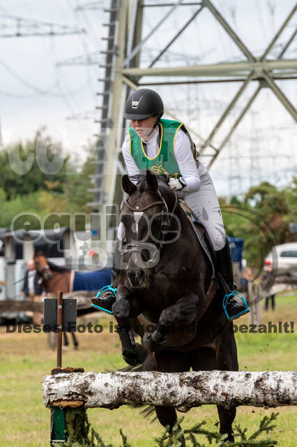 Vielseitigkeit RSV Wesel Obrighoven (26.+27.09.2020)