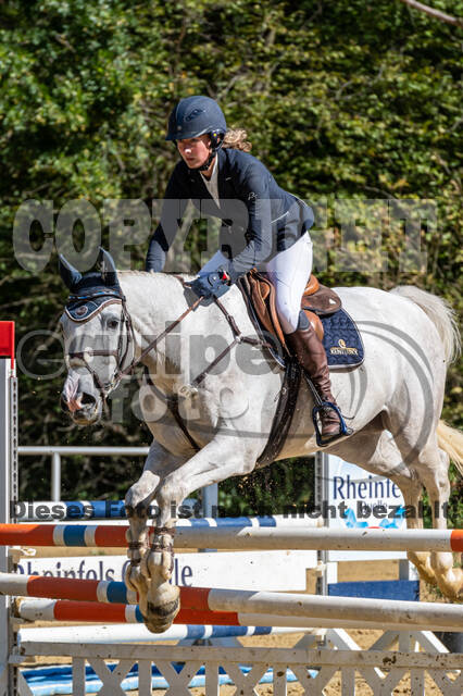 RFV Dinslaken-Hiesfeld (Herbstturnier)