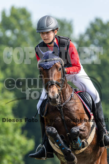 Goldene Schärpe 2021 - Ponys