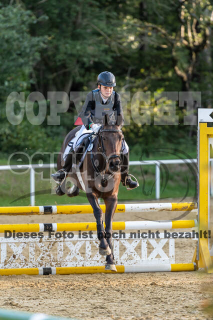 RFV Dinslaken-Hiesfeld (Herbstturnier)