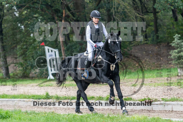 Goldene Schärpe 2020 - Pferde