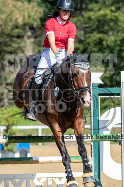 RFV Dinslaken-Hiesfeld (Herbstturnier)