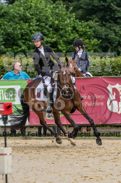 Goldene Schärpe 2021 - Ponys