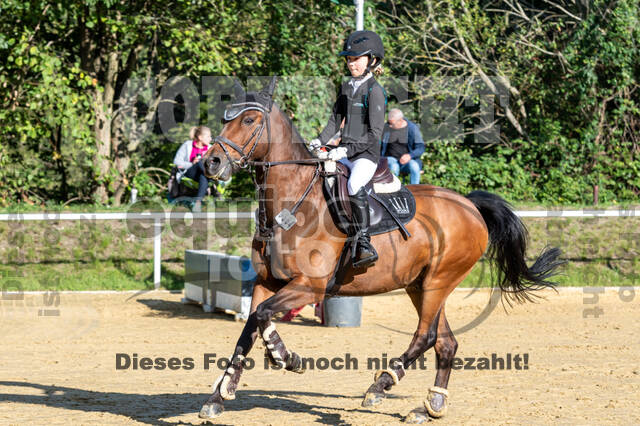 RFV Dinslaken-Hiesfeld (Herbstturnier)