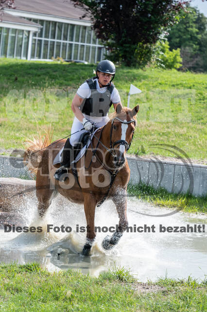 Late-Entry-Vielseitigkeit Langenfeld (06.+07.07.2020)